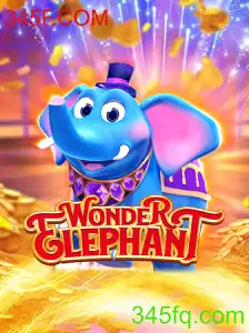 Desvendando o Fascinante Universo de WonderElephant